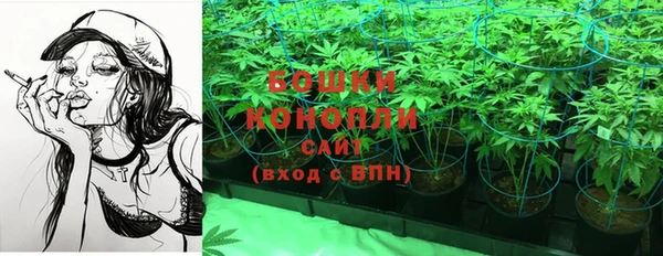 каннабис Дмитриев