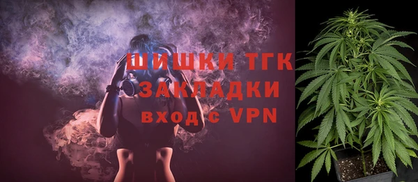 ECSTASY Галич