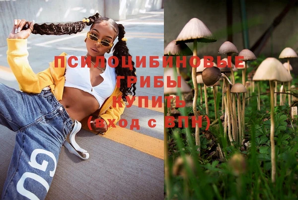 каннабис Дмитриев