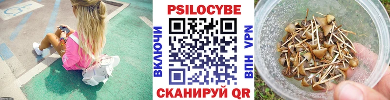 Псилоцибиновые грибы Cubensis Донской